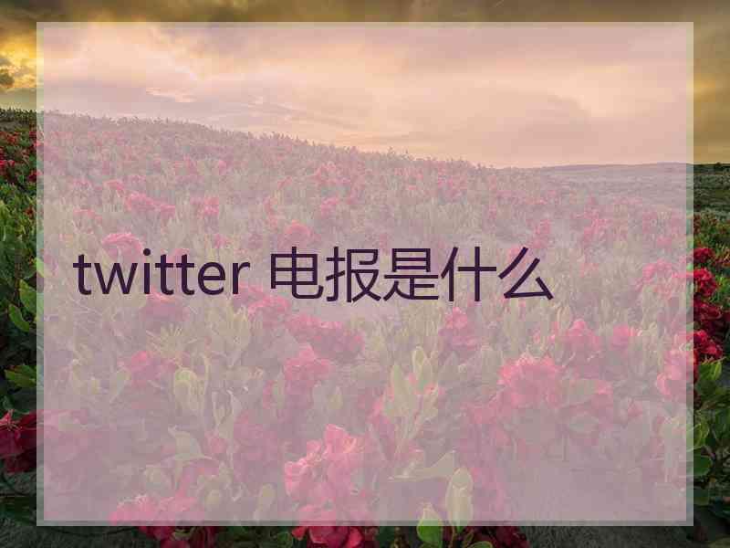 twitter 电报是什么