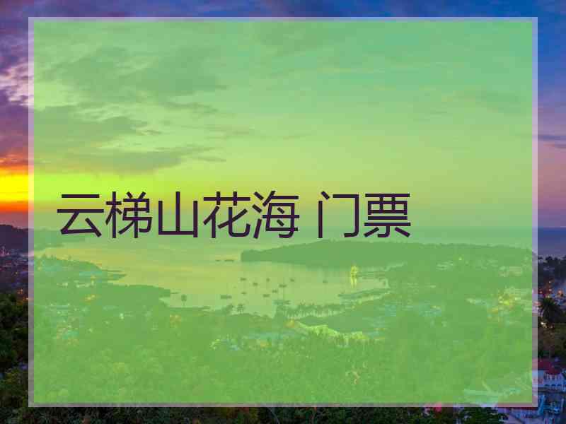 云梯山花海 门票