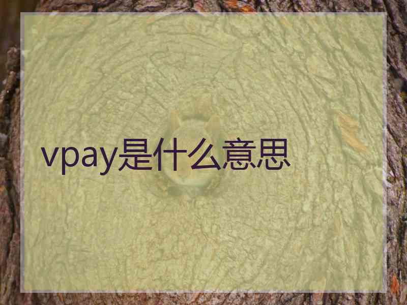 vpay是什么意思