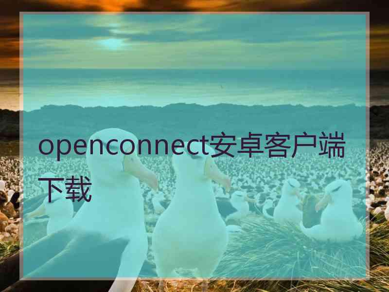 openconnect安卓客户端下载