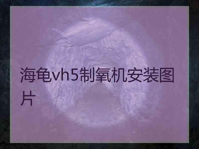 海龟vh5制氧机安装图片