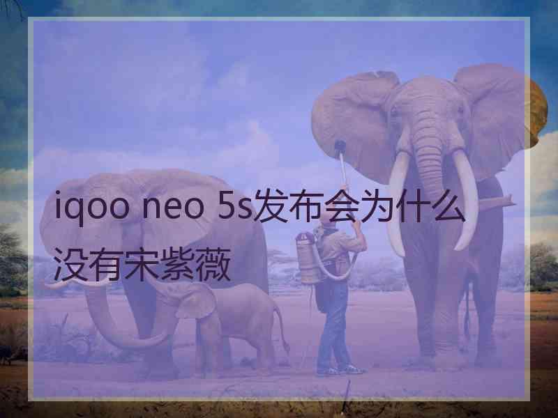 iqoo neo 5s发布会为什么没有宋紫薇