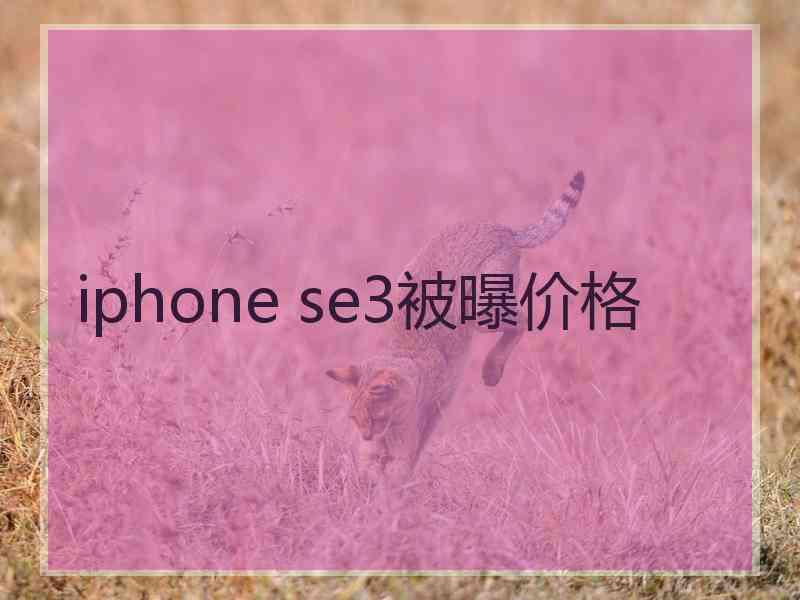 iphone se3被曝价格