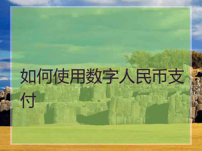 如何使用数字人民币支付