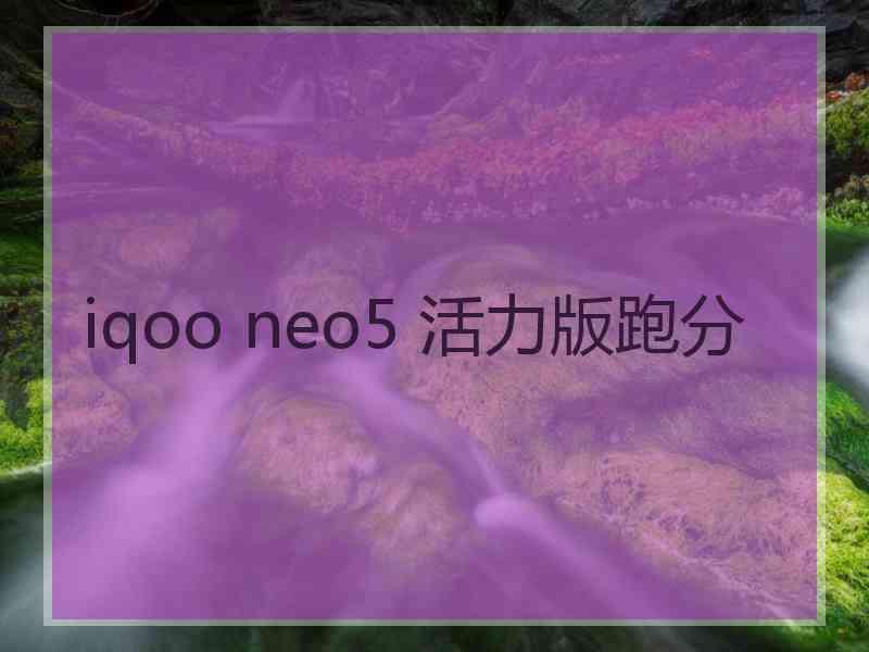 iqoo neo5 活力版跑分