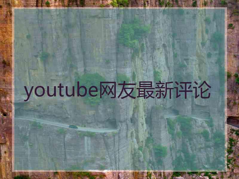 youtube网友最新评论