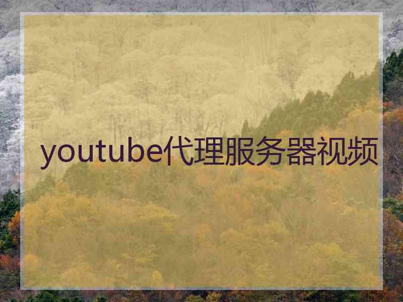 youtube代理服务器视频