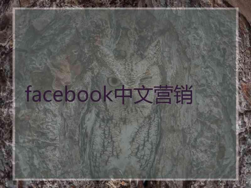 facebook中文营销