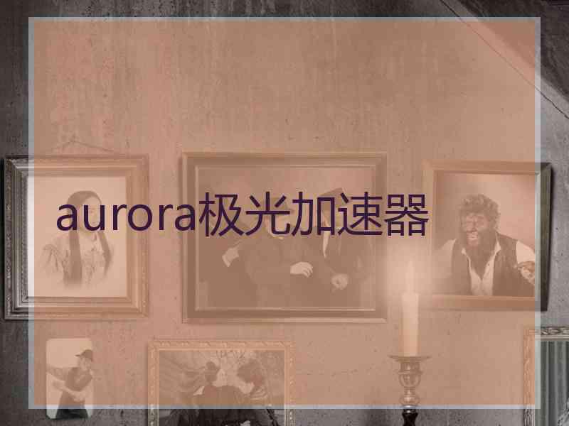 aurora极光加速器