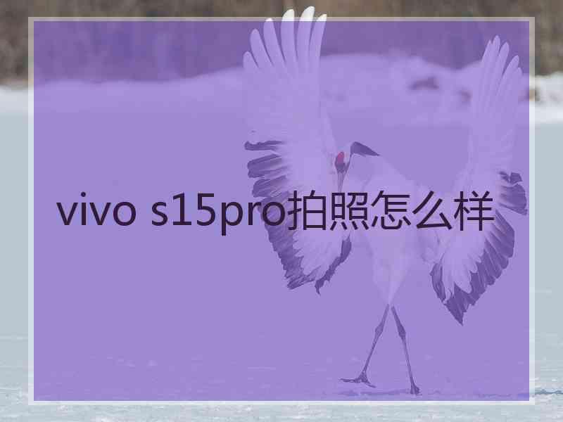 vivo s15pro拍照怎么样