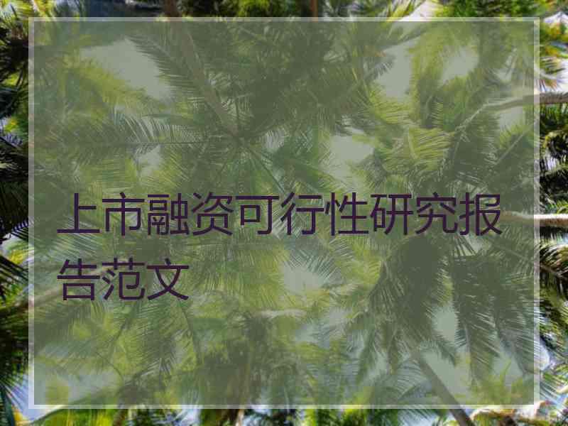 上市融资可行性研究报告范文