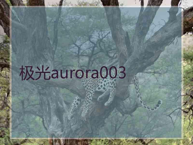 极光aurora003