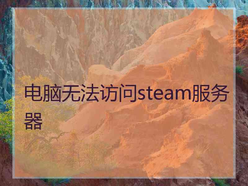 电脑无法访问steam服务器