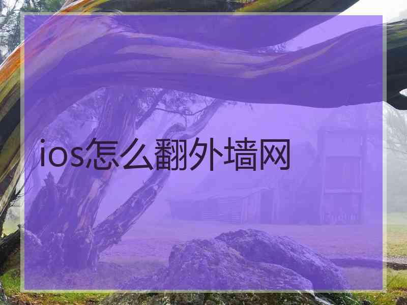 ios怎么翻外墙网