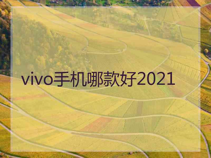 vivo手机哪款好2021