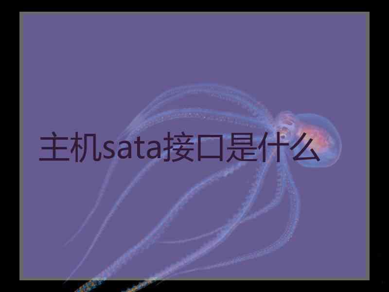 主机sata接口是什么