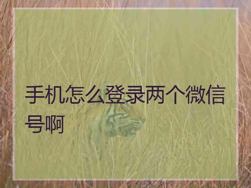 手机怎么登录两个微信号啊