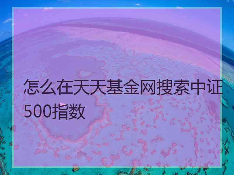 怎么在天天基金网搜索中证500指数