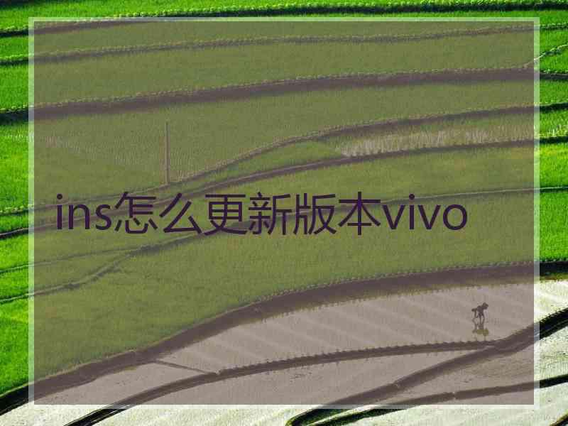 ins怎么更新版本vivo