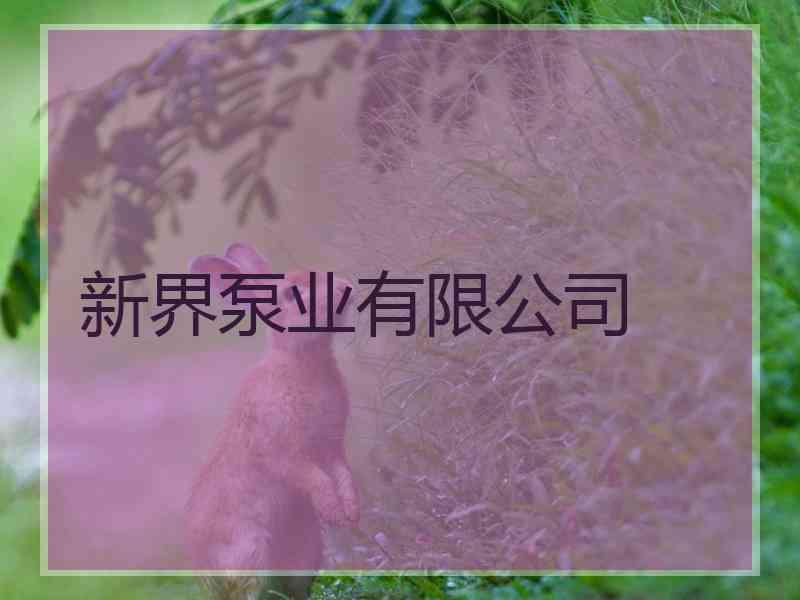 新界泵业有限公司