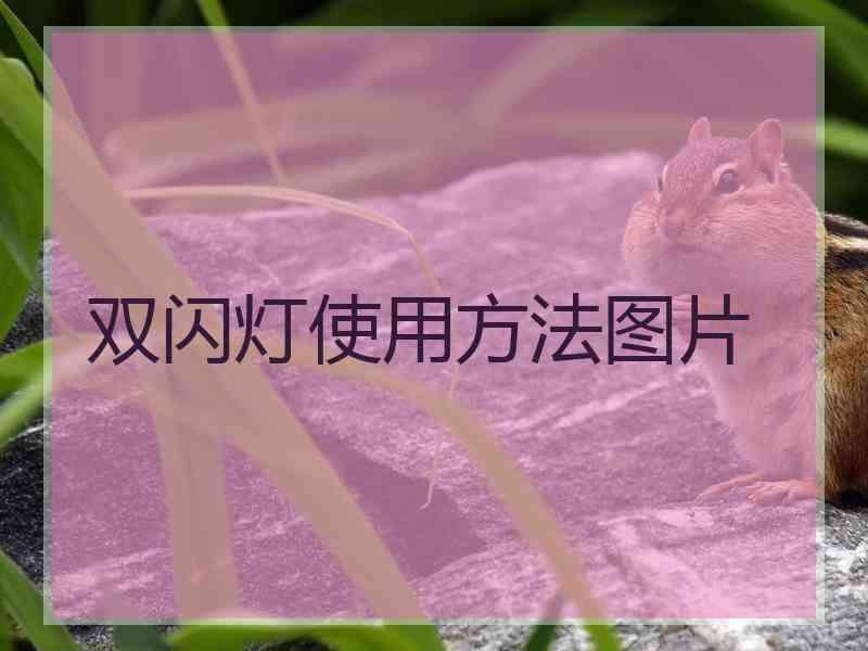 双闪灯使用方法图片