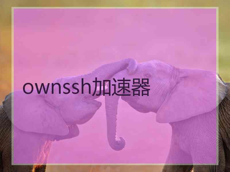 ownssh加速器