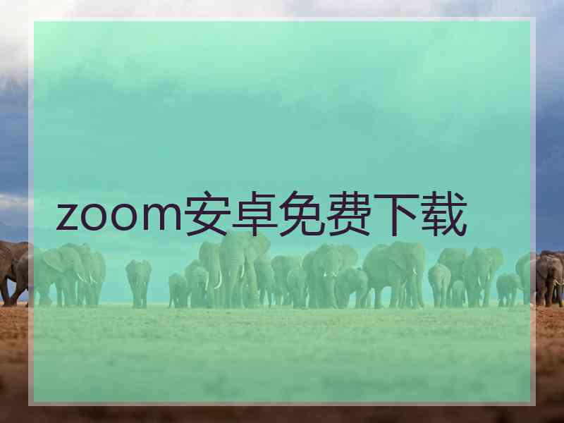 zoom安卓免费下载