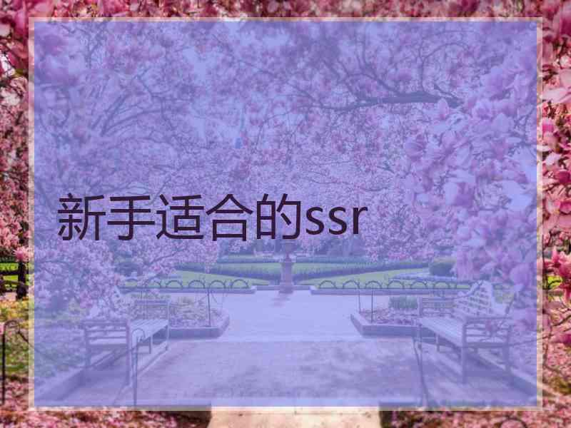 新手适合的ssr