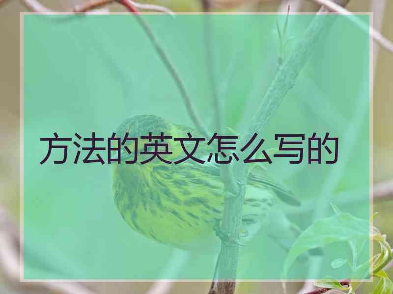 方法的英文怎么写的