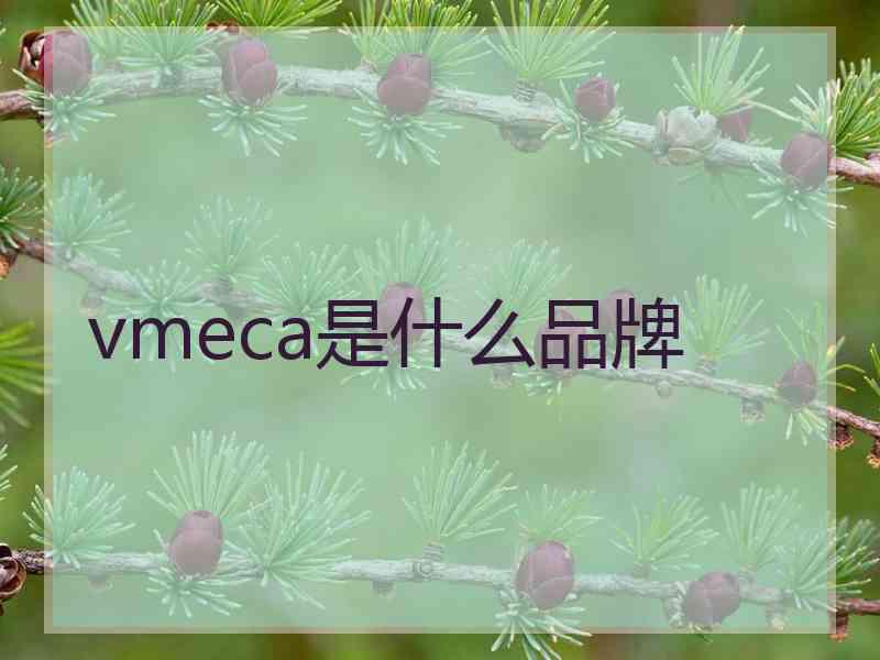 vmeca是什么品牌