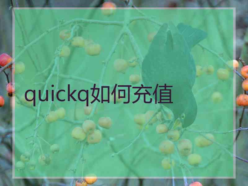 quickq如何充值