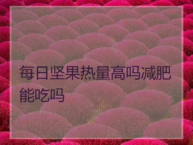 每日坚果热量高吗减肥能吃吗