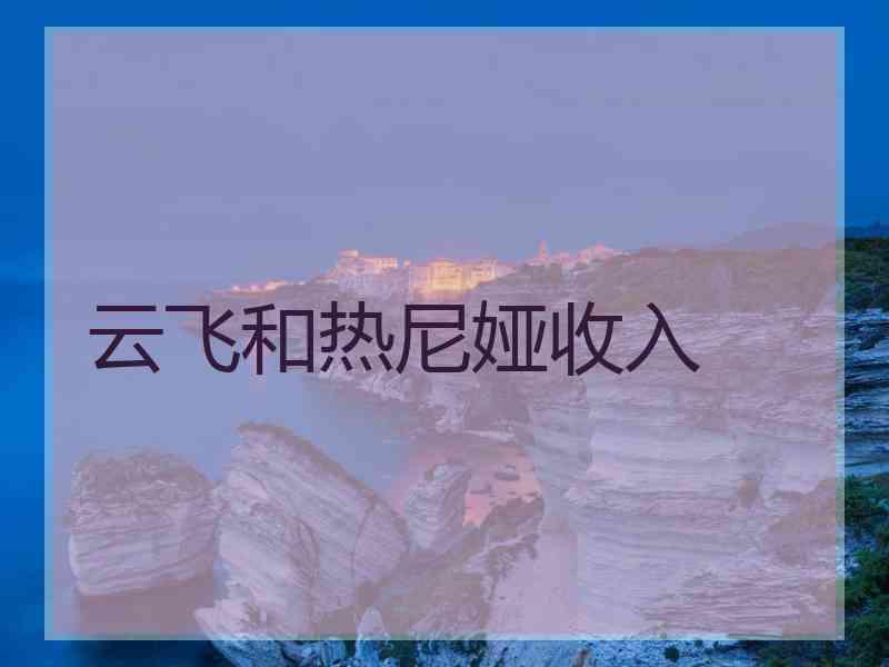 云飞和热尼娅收入