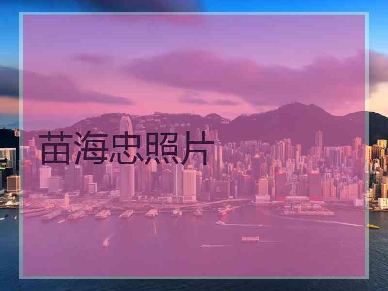 苗海忠照片