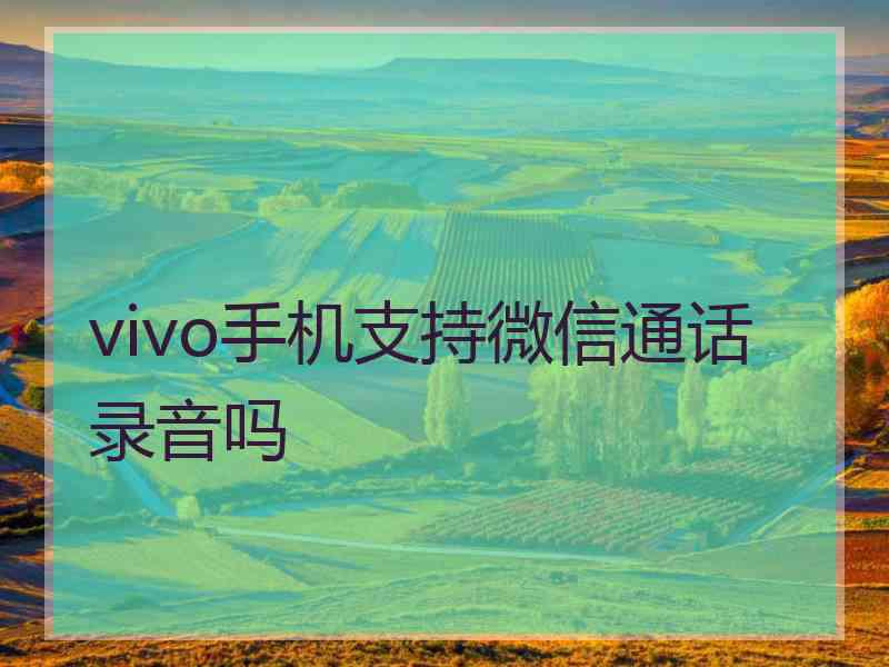 vivo手机支持微信通话录音吗