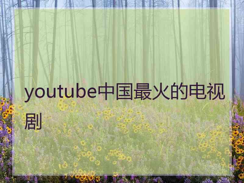 youtube中国最火的电视剧