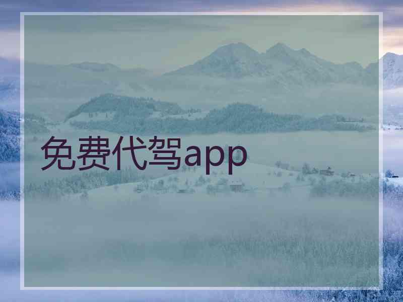 免费代驾app