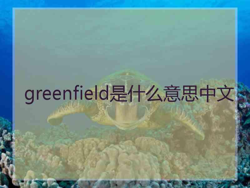 greenfield是什么意思中文