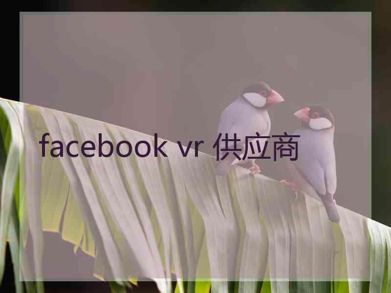 facebook vr 供应商