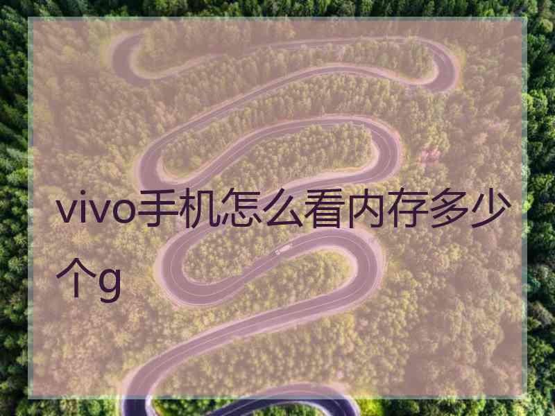 vivo手机怎么看内存多少个g