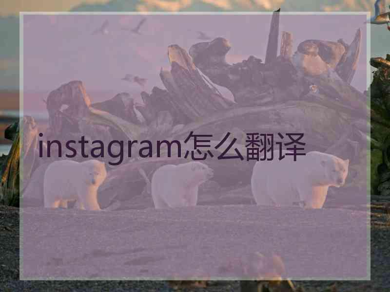 instagram怎么翻译