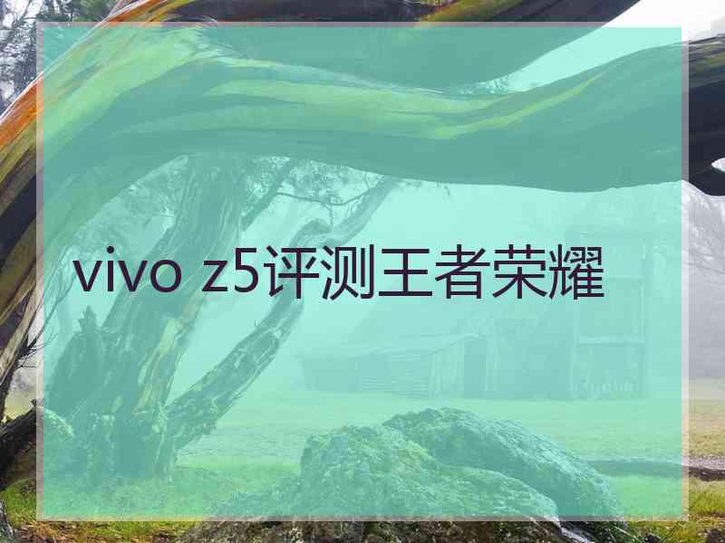 vivo z5评测王者荣耀