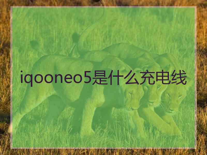 iqooneo5是什么充电线