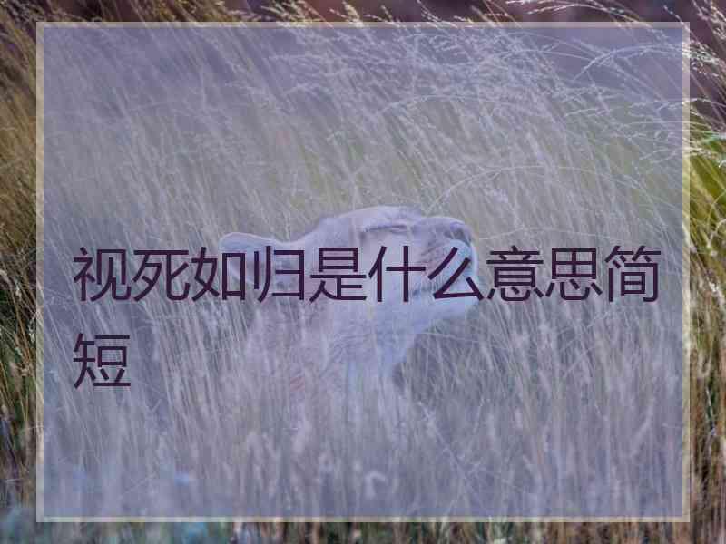 视死如归是什么意思简短