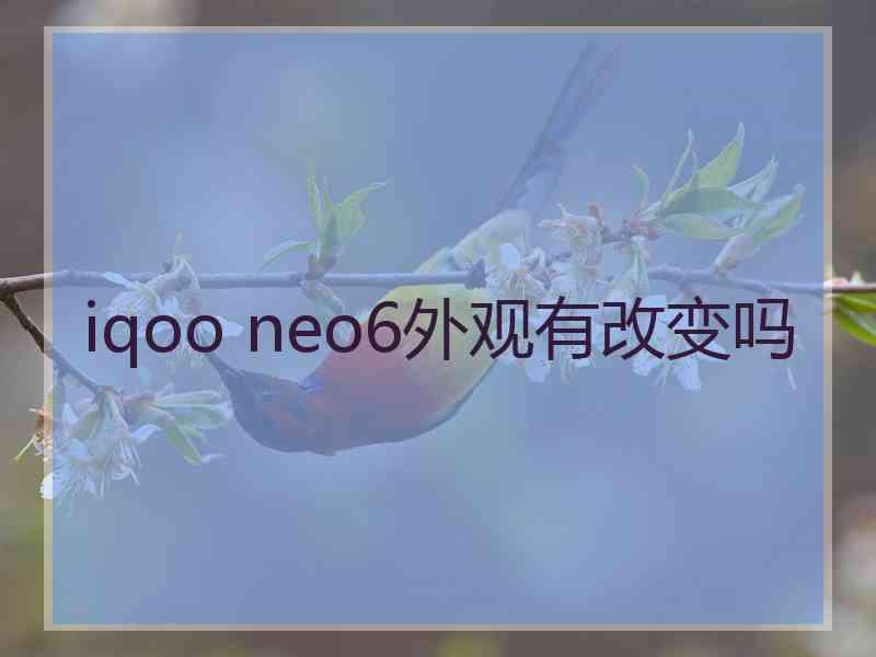 iqoo neo6外观有改变吗