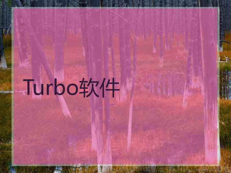 Turbo软件