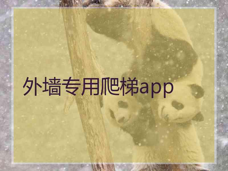 外墙专用爬梯app