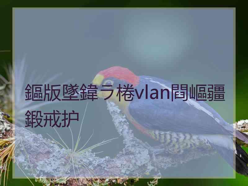 鏂版墜鍏ラ棬vlan閰嶇疆鍛戒护