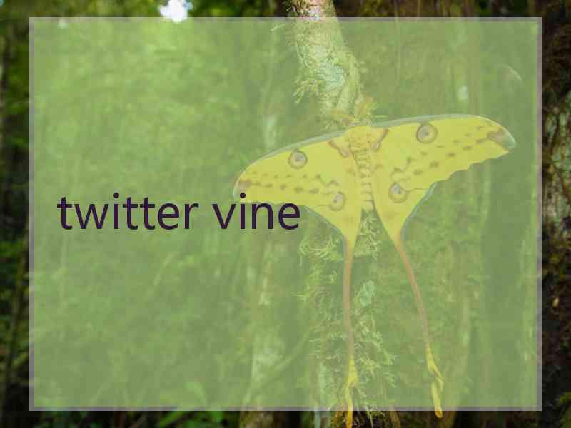 twitter vine