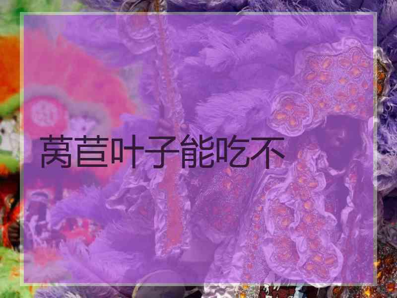 莴苣叶子能吃不